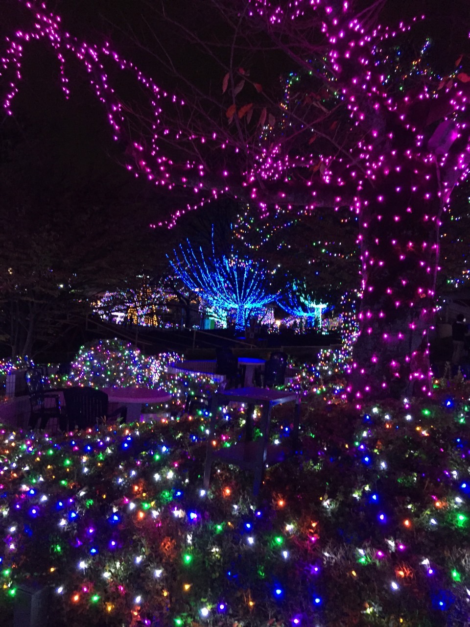 イルミネーションの写真01