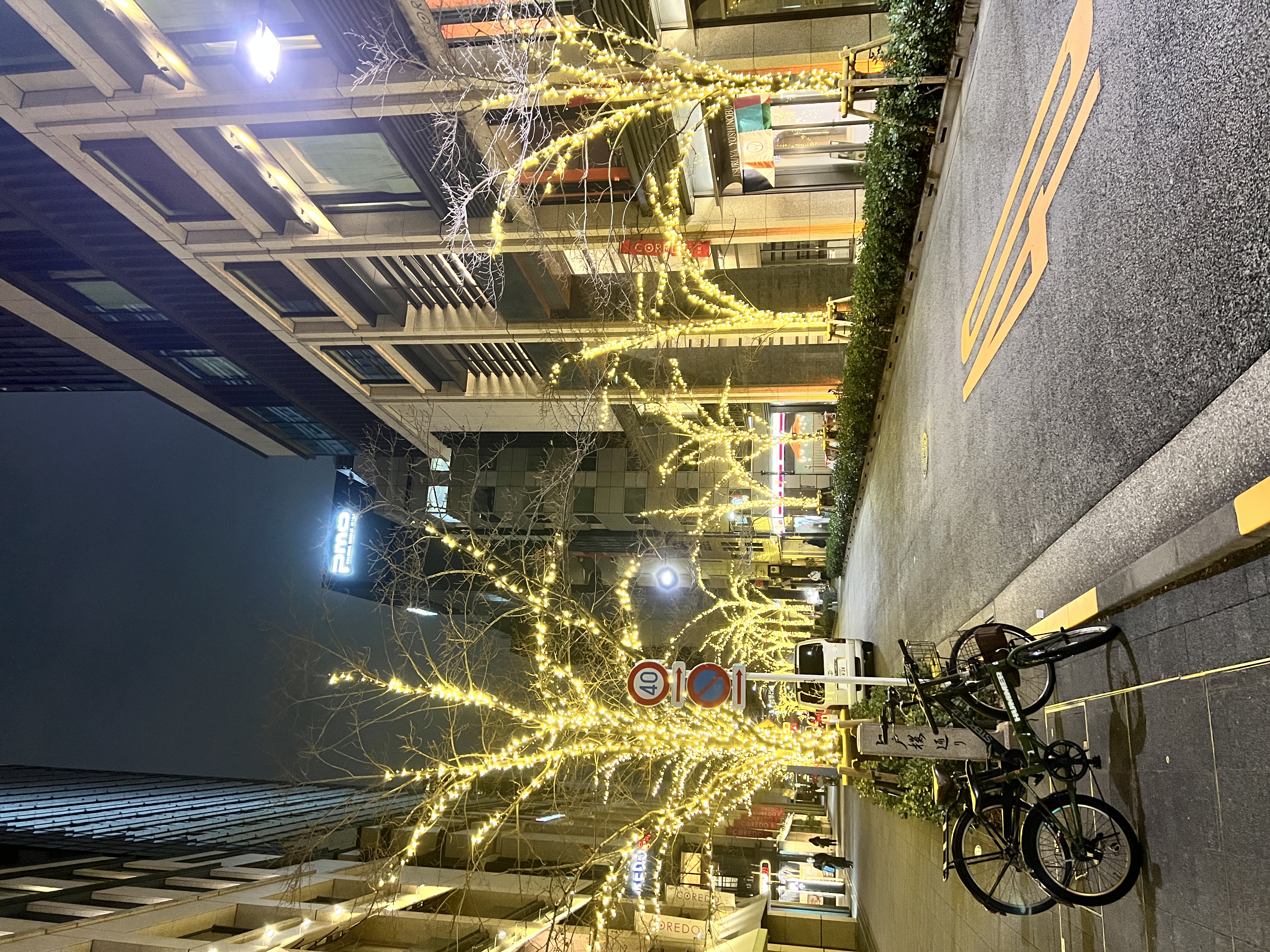 イルミネーションの写真02