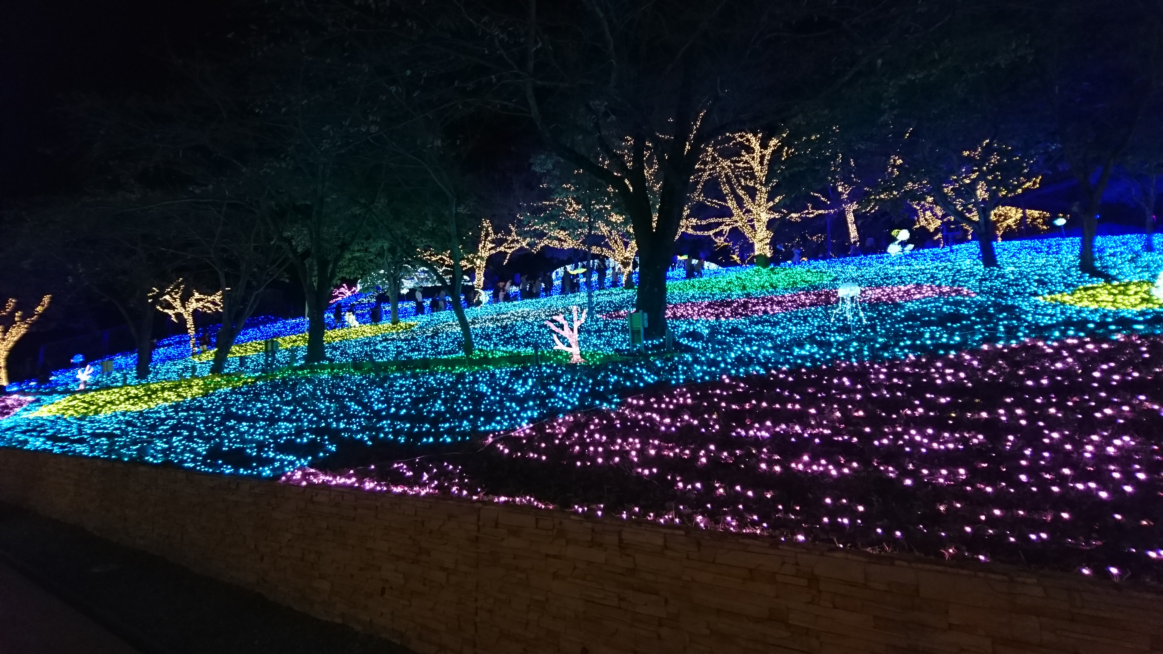 イルミネーションの写真05