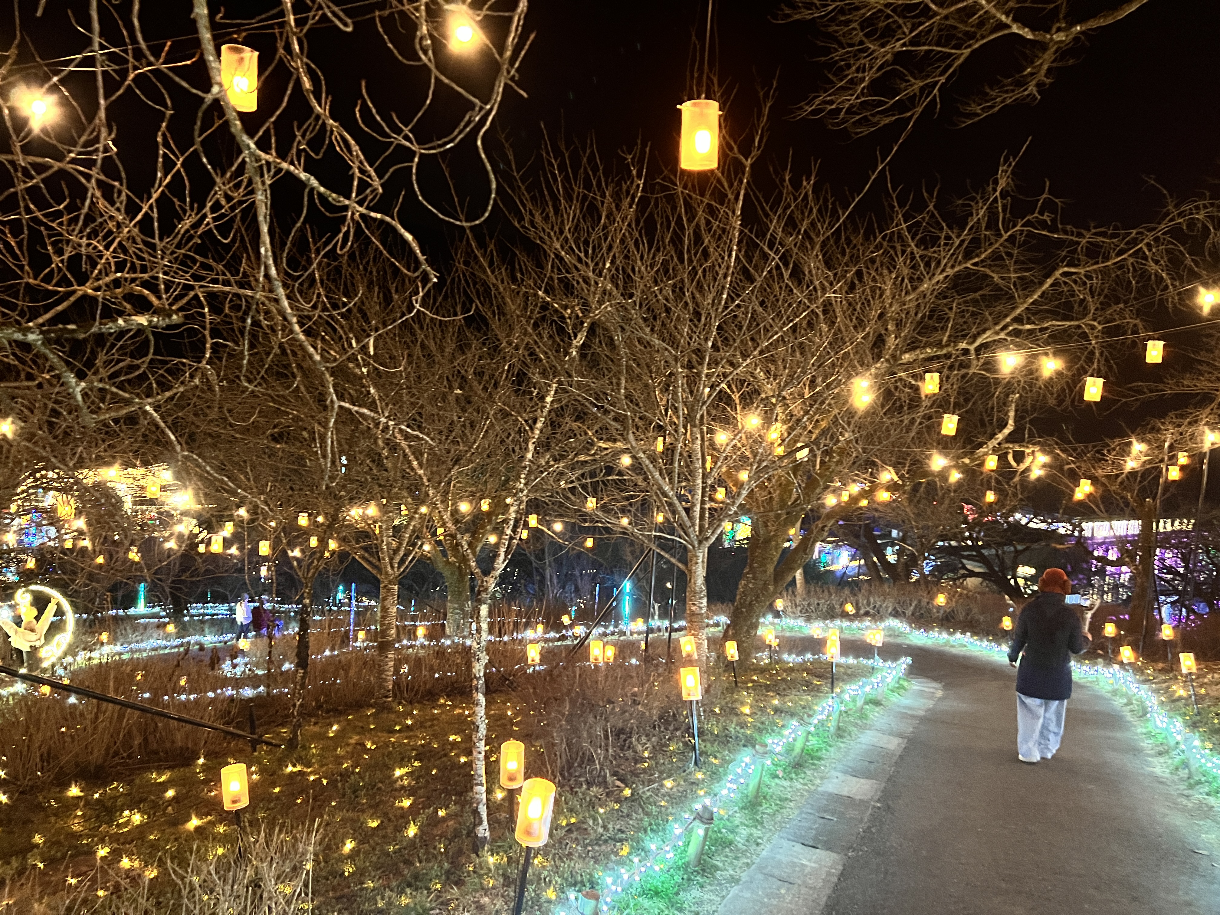 イルミネーションの写真06