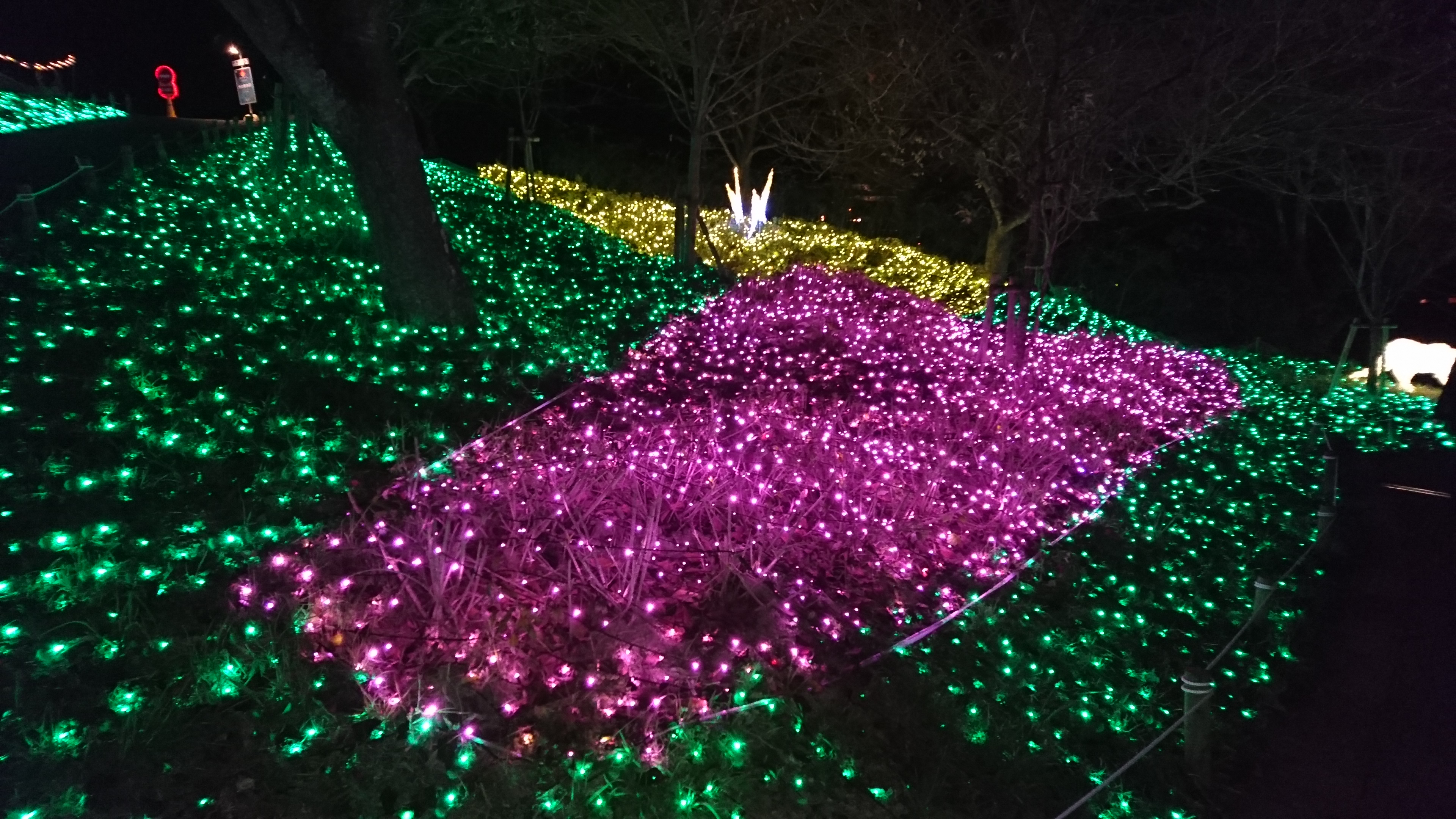 イルミネーションの写真07